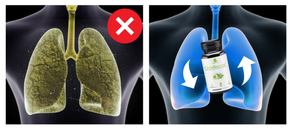 OmniBreathe Lungs Health